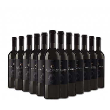 12 BOTELLAS DE VINO TINTO CAL Y CANTO D.O. TIERRA DE CASTILLA 12 BOTELLAS DE VINO TINTO CAL Y CANTO D.O. TIERRA DE CASTILLA