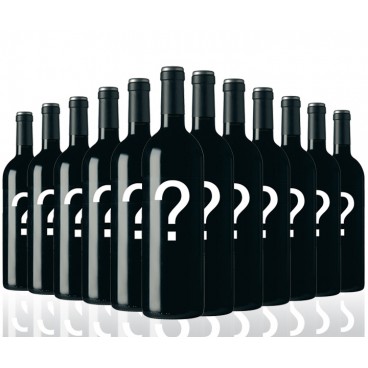 SURPRISE PACK OF 12 MIX BOTTLES OF SPANISH WINES SURPRISE PACK OF 12 MIX BOTTLES OF SPANISH WINES