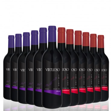 VIRTUOSO SELECTION OF 12 BOTTLES OF RED WINE : 6 CABERNET SAUVIGNON + 6 SYRAH VIRTUOSO SELECTION OF 12 BOTTLES OF RED WINE : 6 CABERNET SAUVIGNON + 6 SYRAH