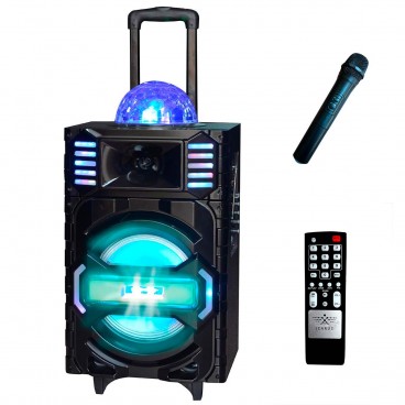 Altavoz trolley karaoke con bluetooth con altavoz de 10" y 40W Altavoz trolley karaoke con bluetooth con altavoz de 10" y 40W