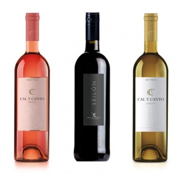 12 BOTTLES SPANISH WINE. 8 AWARD WINE O.D. TIERRA DE CASTILLA WHITE AND ROSÉ + 4 SEILON O.D. RIBERA DEL GUADIANA RED WINE. 12 BOTTLES SPANISH WINE. 8 AWARD WINE O.D. TIERRA DE CASTILLA WHITE AND ROSÉ + 4 SEILON O.D. RIBERA DEL GUADIANA RED WINE.
